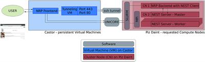 Deploying and Optimizing Embodied Simulations of Large-Scale Spiking Neural Networks on HPC Infrastructure